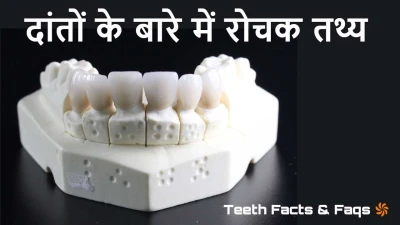 दांतों के बारे में 15 से अधिक रोचक तथ्य! 15+ Amazing Facts About Teeth in Hindi
