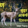 हिरणों की अद्भुत दुनिया: अनोखे और रोचक तथ्य! Amazing Deer Facts in Hindi