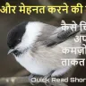 चिरायु की मीठी सी आवाज़, कमजोरी को ताकत बनाकर बदल सकते हैं किस्मत। Chirayu Ki Meethi Aawaz Short Story in Hindi