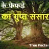 पेड़ों के ये रहस्य जानकर आप हैरान रह जाएंगे! The Hidden World Within Tree Facts