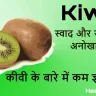 स्वाद और सेहत का अनोखा मेल! कीवी के बारे में रोचक जानकारी!