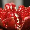 क्या आप अनार के बारे में कुछ अनोखे तथ्य जानते हैं? Pomegranate Interesting Facts