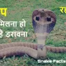 सांपों के रहस्य: जानिए वो सच जो आपको चौंका देगा! Scientific Snake Facts in Hindi