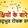 पक्षियों के बारे में अद्भुत रोचक तथ्य! पक्षियों की दुनिया में एक झलक 40 Amazing Facts about Birds