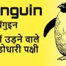 पेंगुइन: पानी में उड़ने वाले टक्सीडोधारी पक्षी! अनोखे रहस्य और रोचक तथ्य Interesting Facts about Penguin