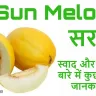 सरदा की मिठास: इस अनोखे खरबूजे के बारे में रोचक तथ्य! Interesting Facts About Sun Melon (Sarda)