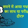 सपने में गधा देखना! भाग्य का साथ या परीक्षा का दौर? जानिए क्या कहता है स्वप्न शास्त्र