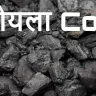 ऊर्जा का स्रोत, भविष्य की चुनौती: कोयले के बारे में अनोखे और रोचक तथ्य Coal Facts in Hindi