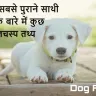 कुत्तों के बारे में दिलचस्प तथ्य! Facts about Dogs in Hindi with FAQs