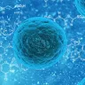 बच्चों और बुजुर्गों के लिए खतरनाक: नोरोवायरस! बचाव और घरेलू उपाय NoroVirus in Hindi