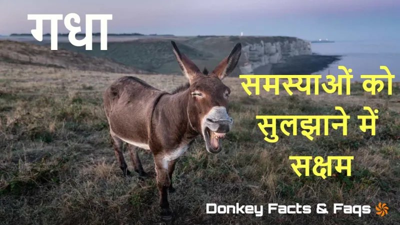 गधों की बुद्धिमानी: मूर्खता से परे! Inte...