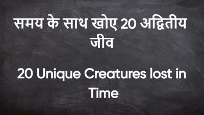 विलुप्त होती प्रकृति: समय के साथ खोए 20 अद्वितीय जीव! 20 Unique Creatures lost in Time