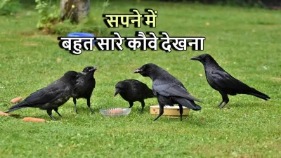 सपने में बहुत सारे कौवे देखना: अर्थ और संकेत! Seeing Many Crows in Dreams Meaning