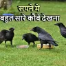 सपने में बहुत सारे कौवे देखना: अर्थ और संकेत! Seeing Many Crows in Dreams Meaning