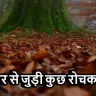 नवंबर से जुड़ी कुछ रोचक बातें! November Facts In Hindi