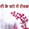 जनवरी के बारे में 10 अज्ञात और रोचक तथ्य! January Facts In Hindi