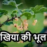 दुर्लभ औषधि का पौधा, बंदर और मुखिया की भूल: एक रोचक हिंदी कहानी