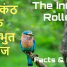 आकाश का नीला हीरा: नीलकंठ के अनोखे और रोचक तथ्य The Indian Roller Neelkanth Facts