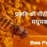 मधुमक्खी: प्रकृति की मीठी कारगर अनोखे और रोचक तथ्य The Honey Bee Facts