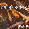 जल की रंगीन दुनिया: मछलियों के अद्भुत रोचक तथ्य! Amazing Facts About Fish