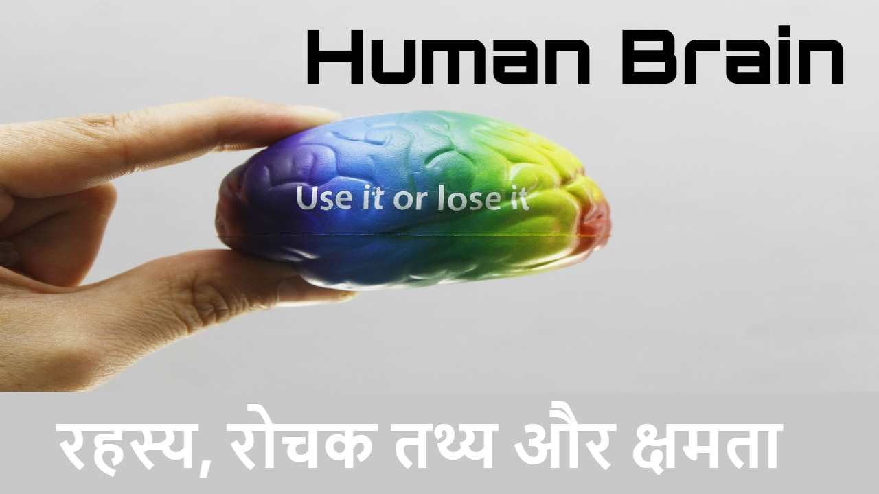मानव मस्तिष्क : रहस्...