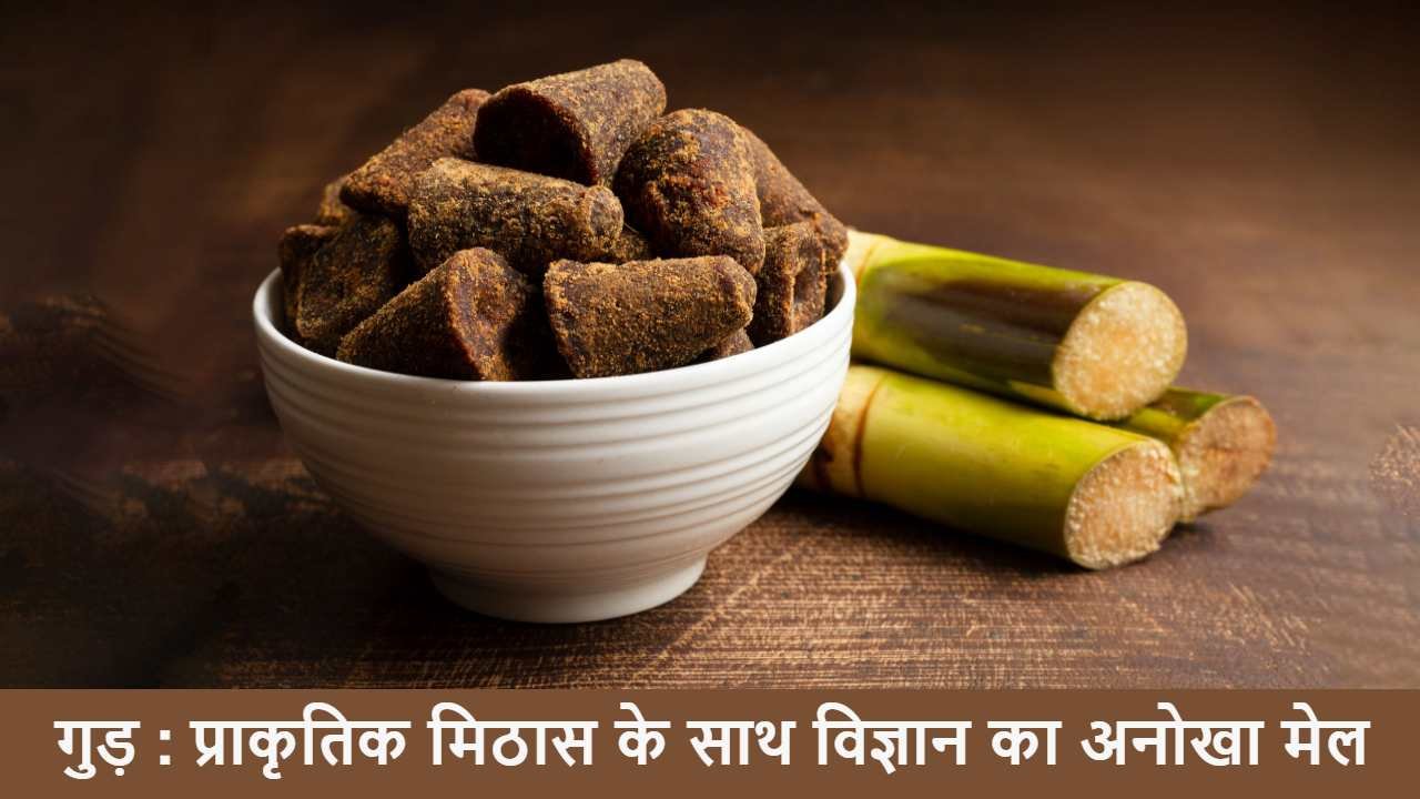 क्या गुड़ चीनी से बेहतर है? गुड़ के बारे...