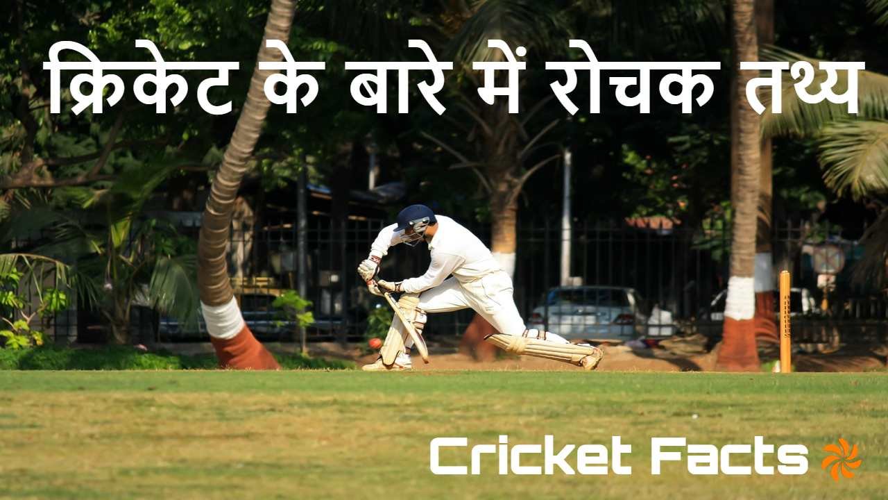क्रिकेट के बारे में...