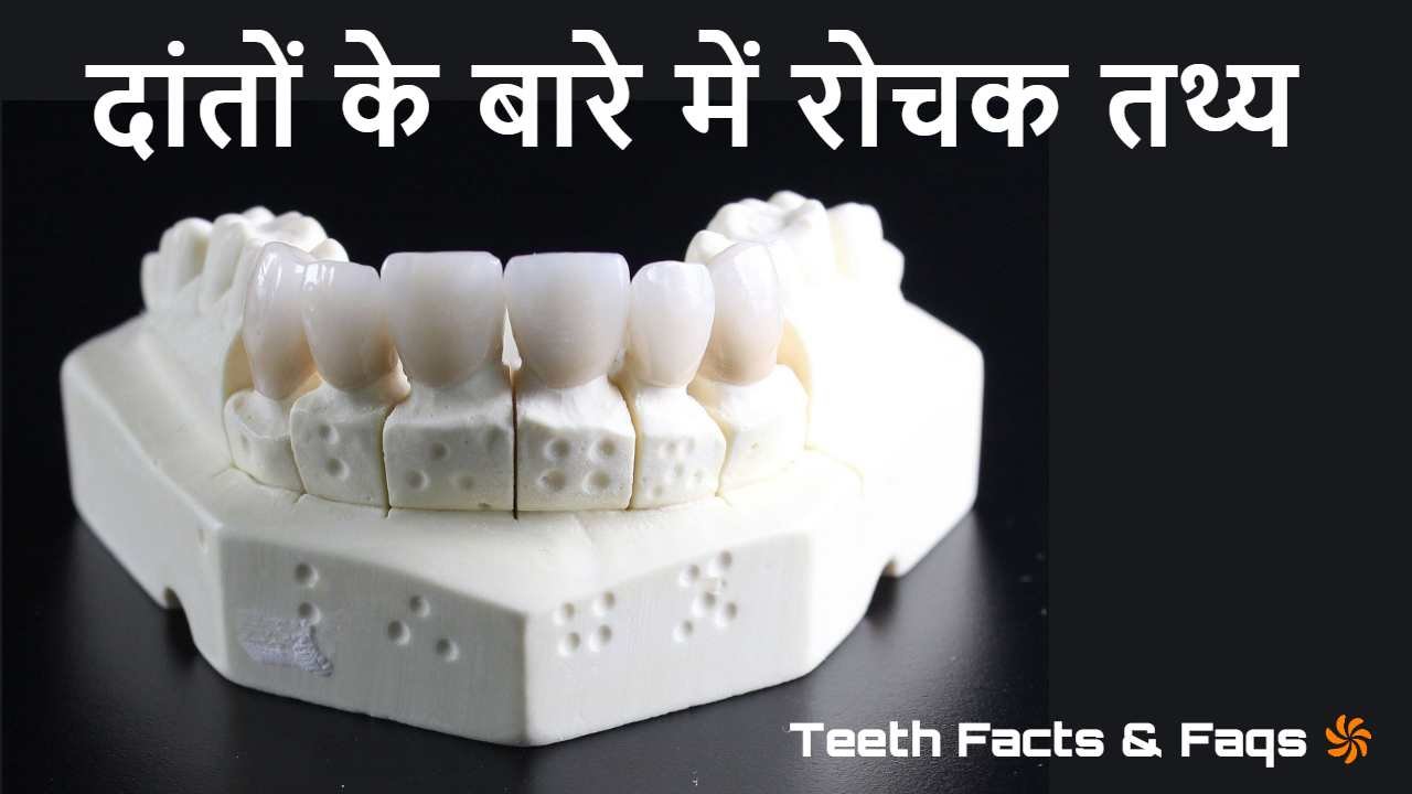 दांतों के बारे में 1...
