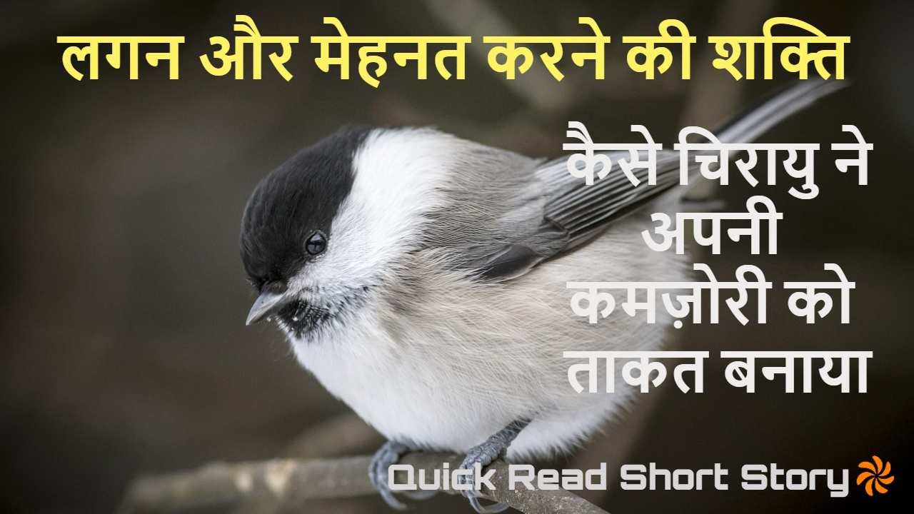 चिरायु की मीठी सी आवाज़, कमजोरी को ताकत...