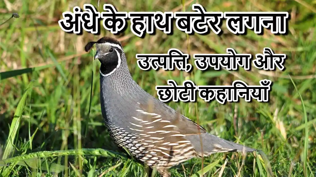 किस्मत का खेल: अंधे...
