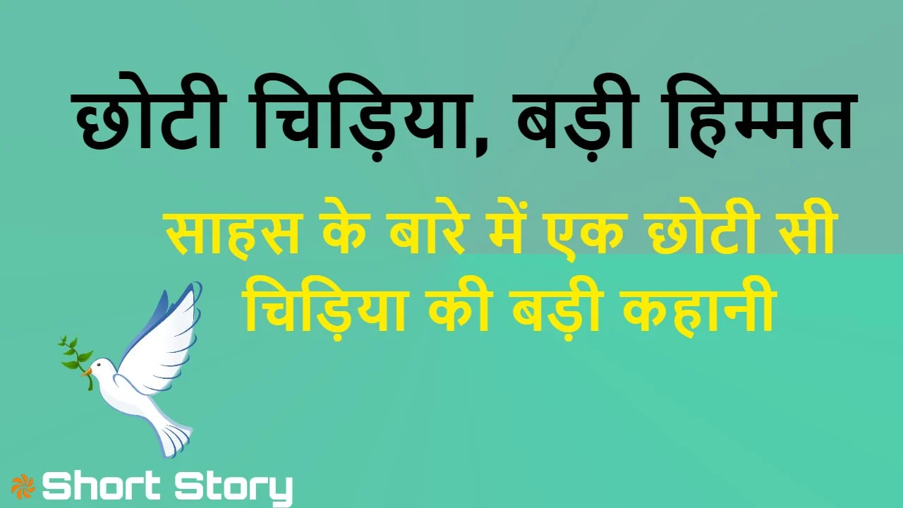 छोटी चिड़िया, बड़ी ह...