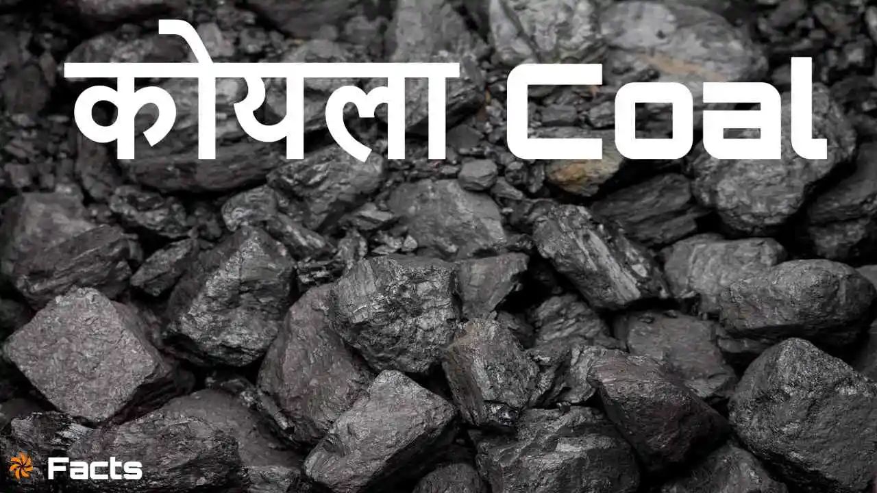 ऊर्जा का स्रोत, भविष्य की चुनौती: कोयले...