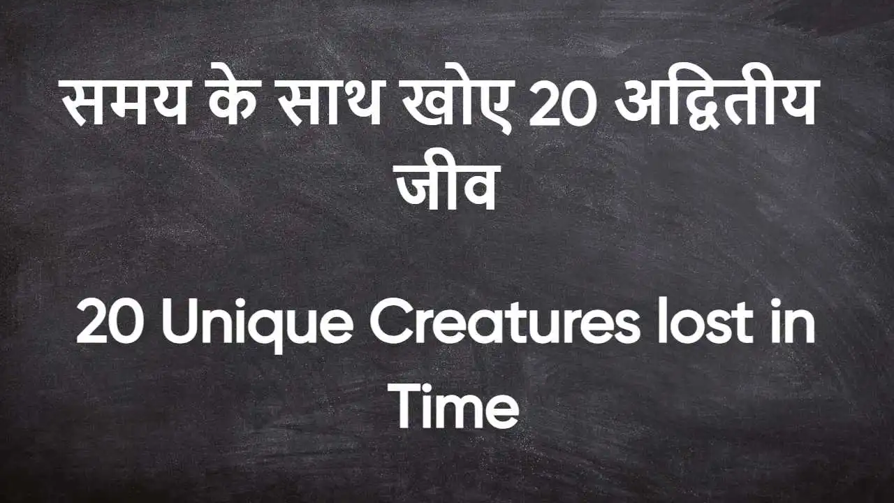 विलुप्त होती प्रकृति: समय के साथ खोए 20...