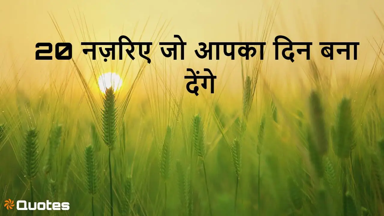 हर दिन में छिपीं हैं खुशियाँ - 20 नज़रिए...