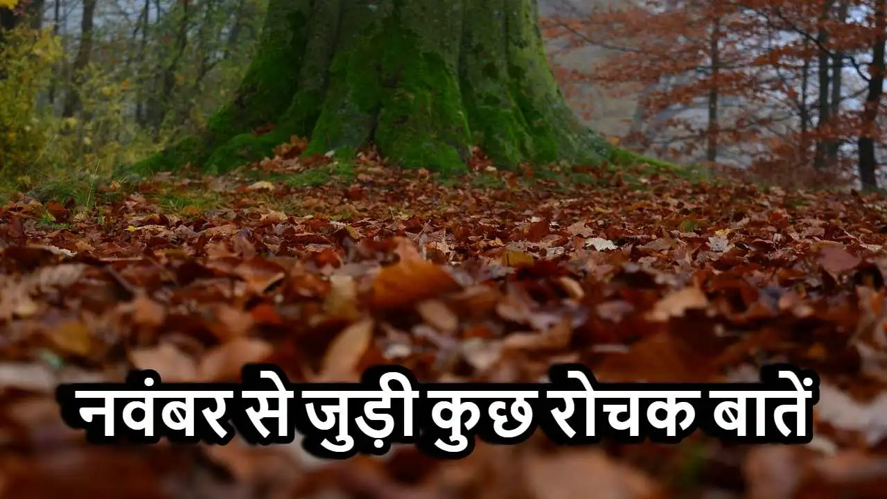नवंबर से जुड़ी कुछ रोचक बातें! November...