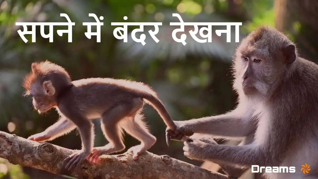 सपने में बंदर देखना:...