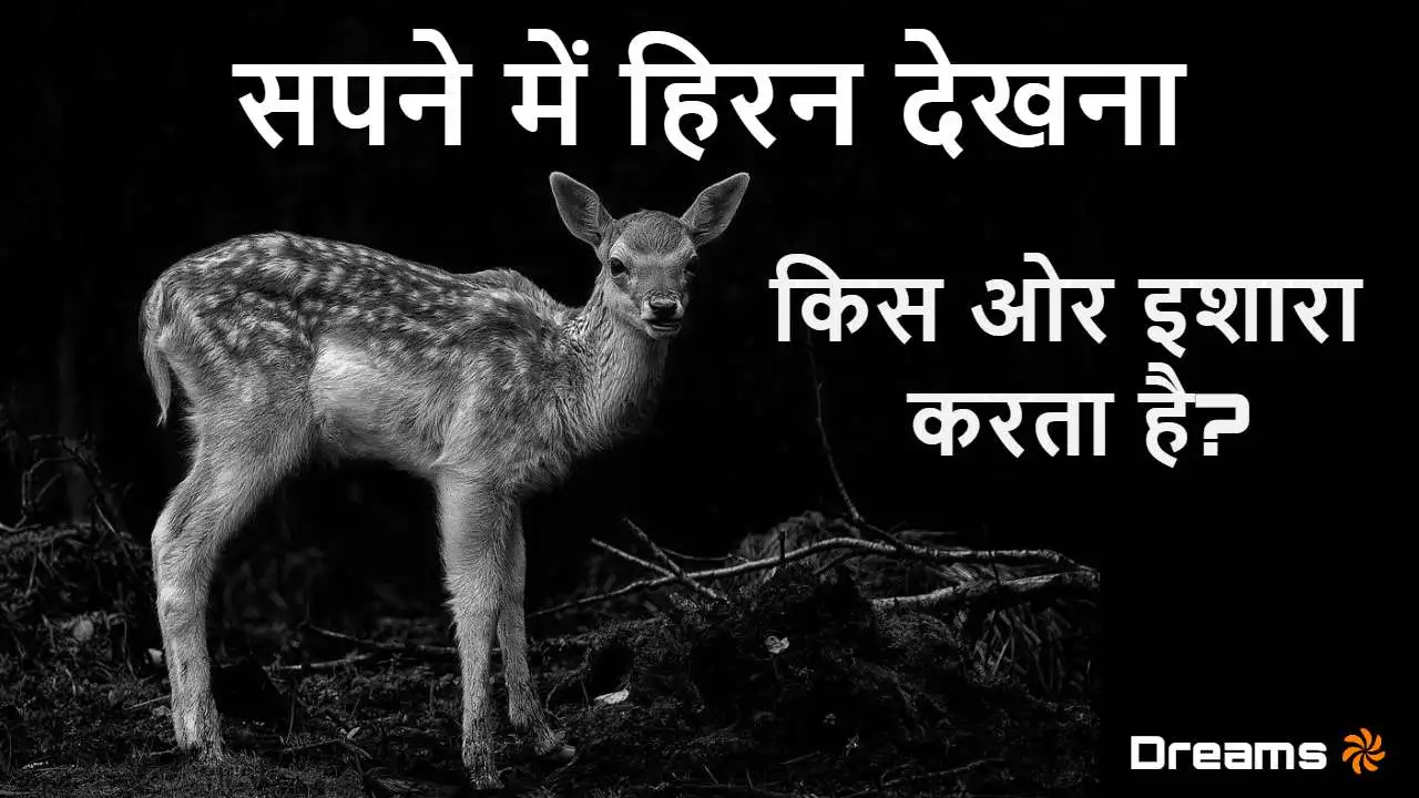 सपने में हिरन देखना: शुभ संकेतों की ओर इ...