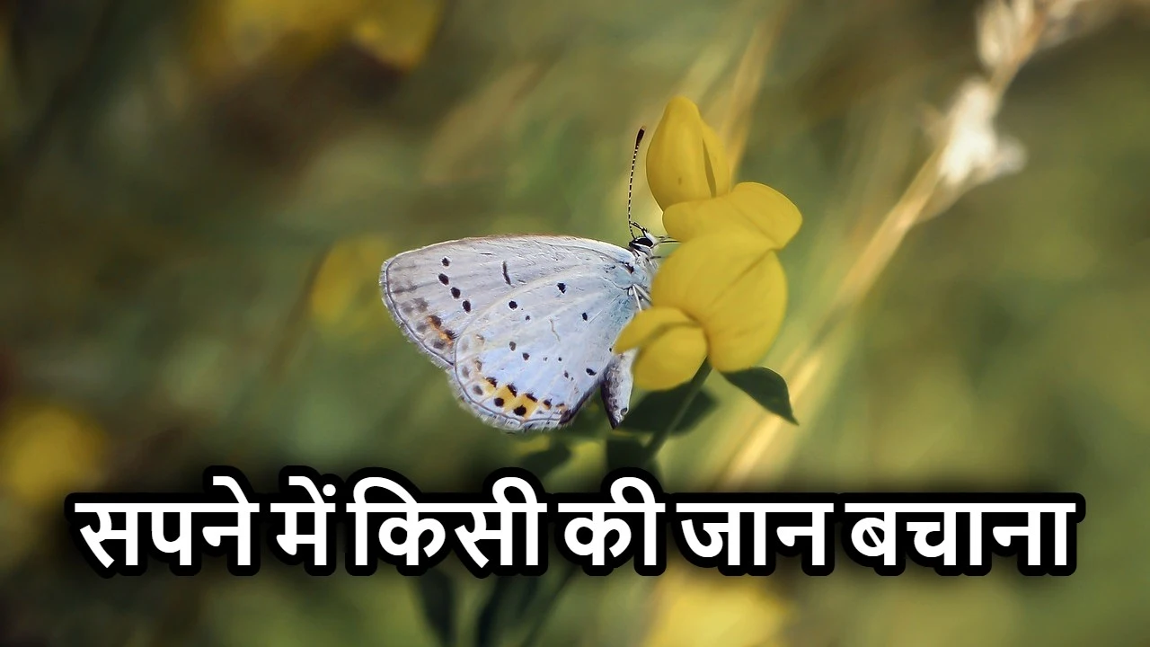 सपने में किसी की जान...