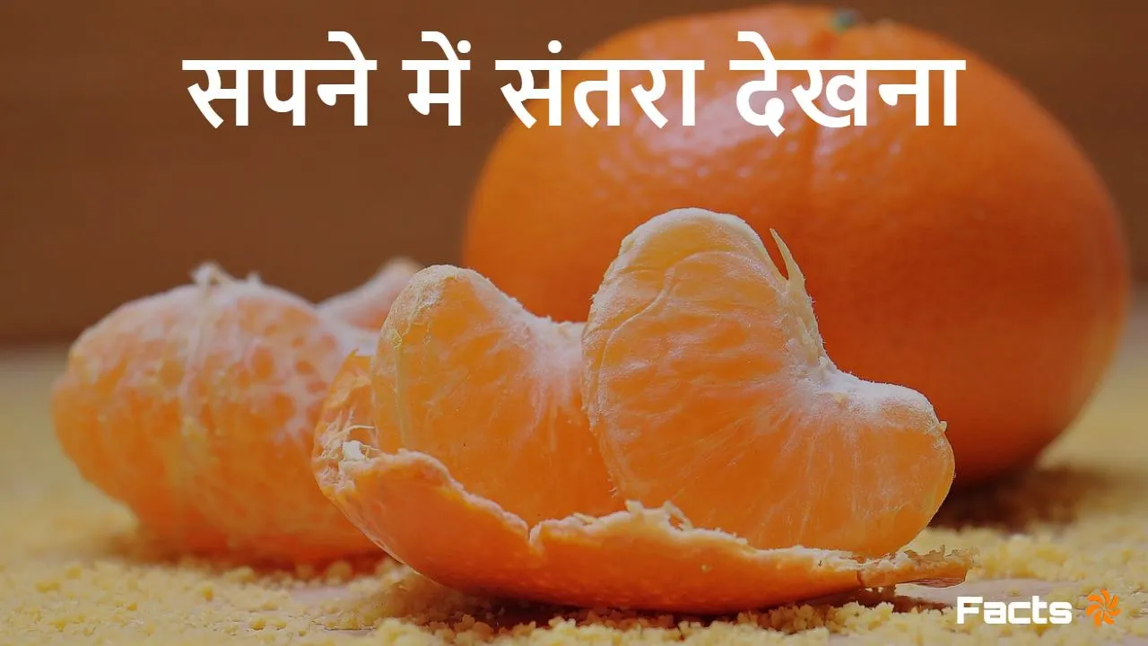 सपने में संतरा देखना...