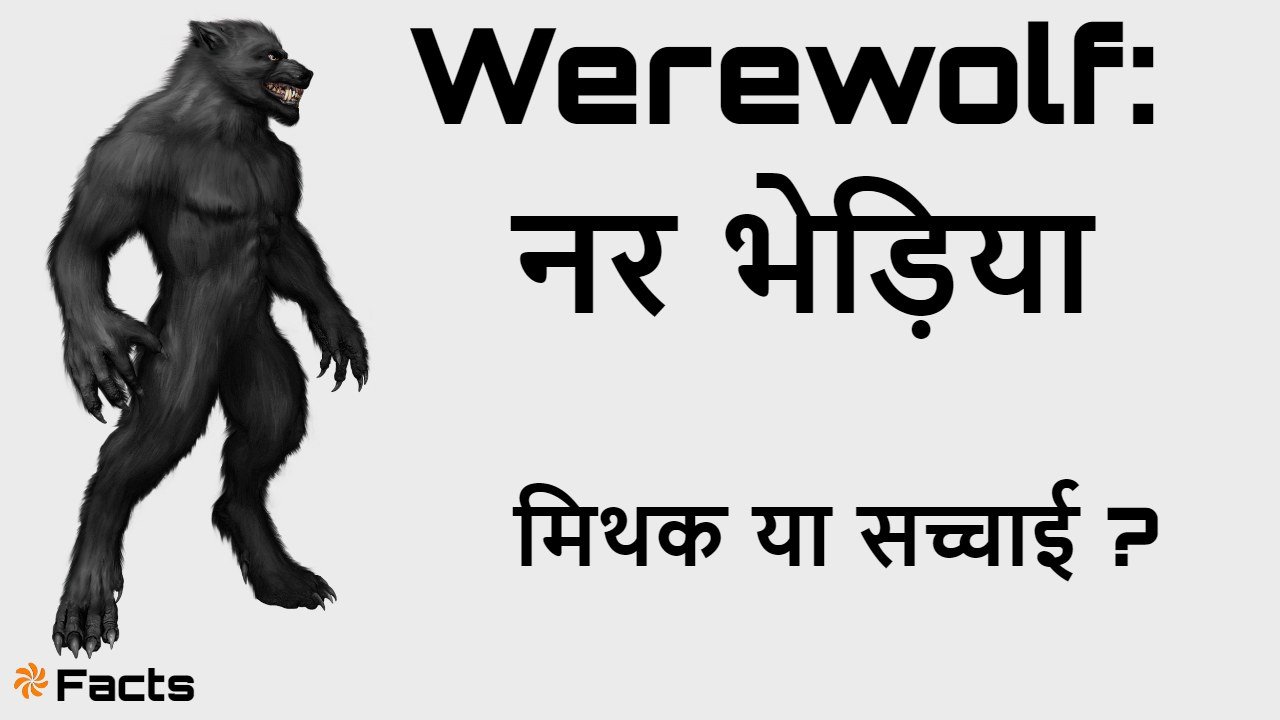 वेयरवोल्फ: रात्रि का भय या कल्पना का खेल...